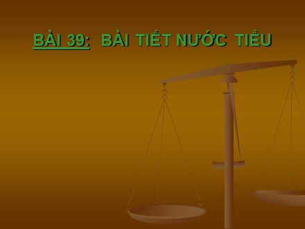 Bài giảng Sinh học Khối 8 - Bài 39: Bài tiết nước tiểu