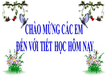 Bài giảng Vật lý Lớp 9 - Chủ đề: Thấu kính phân kì