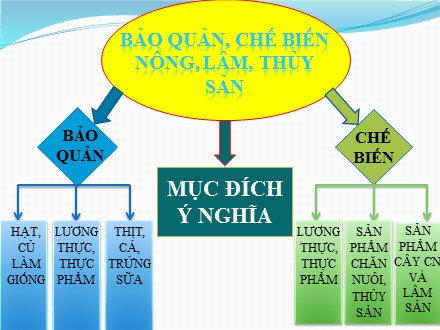 Bài giảng Công nghệ Lớp 10 - Bài 44: Chế biến nông, thủy sản - Trường THPT Châu Phú