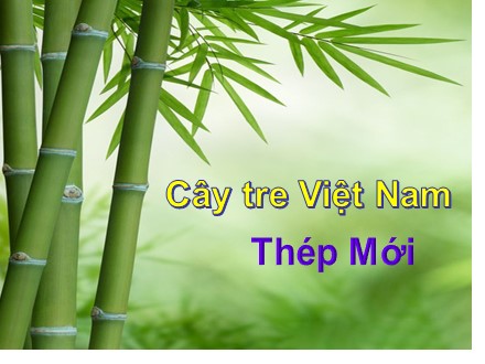 Bài giảng Ngữ văn Lớp 6 - Tiết 108: Cây tre Việt Nam - Trường THCS & THPT Mỹ Hòa Hưng