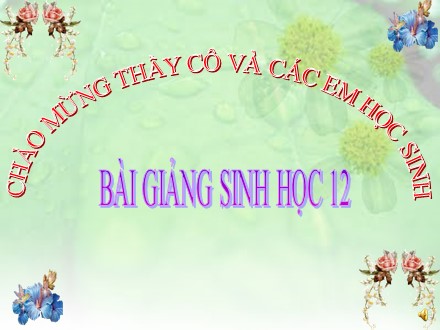 Bài giảng Sinh học Lớp 12 - Bài 36: Quần thể sinh vật và mối quan hệ giữa các cá thể trong quần thể - Trường THPT Châu Phú