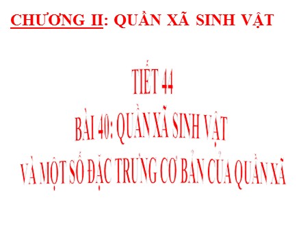 Bài giảng Sinh học Lớp 12 - Bài 40: Quần xã sinh vật và một số đặc trưng cơ bản của quần xã - Trường THPT Châu Phú