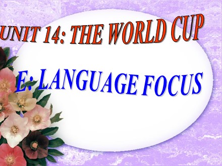 Bài giảng Tiếng Anh Lớp 10 - Unit 14: The world cup - Part E: Language focus - Trường THPT Châu Phú