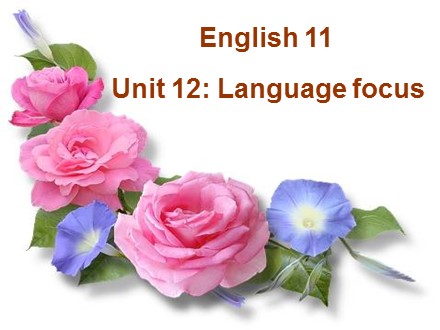 Bài giảng Tiếng Anh Lớp 11 - Unit 12: Language focus - Trường THPT Châu Phú