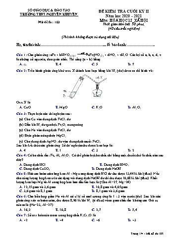 Đề kiểm tra cuối học kỳ II môn Hóa học Lớp 12 - Xã hội - Mã đề 103 - Năm học 2020-2021 - Trường THPT Nguyễn Khuyến