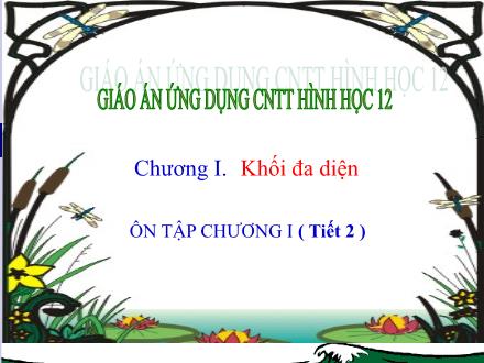 Bài giảng Hình học Lớp 12 - Bài: Ôn tập Chương I (Tiết 2 ) - Trường THCS & THPT Mỹ Hòa Hưng