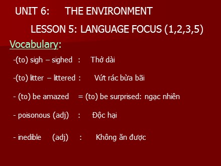 Bài giảng Tiếng Anh Lớp 9 - Unit 6: The environment - Lesson 5: Language focus (1, 2, 3, 5) - Trường THCS & THPT Mỹ Hòa Hưng