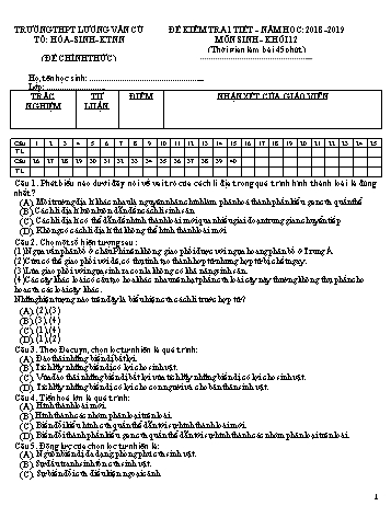 Bộ đề kiểm tra 1 tiết lần 1 học kỳ II môn Sinh học Lớp 12 - Năm học 2018-2019 - Trường THPT Lương Văn Cù (Có đáp án)