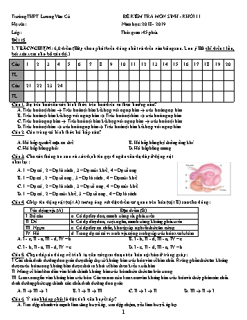 Bộ đề kiểm tra 1 tiết lần 2 học kỳ I môn Sinh học Lớp 11 - Năm học 2018-2019 - Trường THPT Lương Văn Cù (Có đáp án)