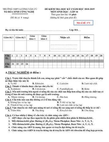 Bộ đề kiểm tra học kỳ I môn Sinh học Lớp 10 - Năm học 2018-2019 - Trường THPT Lương Văn Cù