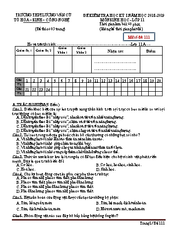 Đề kiểm tra học kỳ 1 môn Sinh học Lớp 11 - Mã đề 111 - Năm học 2018-2019 - Trường THPT Lương Văn Cù