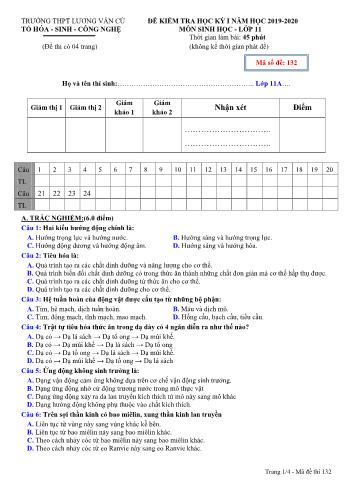 Đề kiểm tra học kỳ I môn Sinh học Lớp 11 - Mã đề 132 - Năm học 2019-2020 - Trường THPT Lương Văn Cù