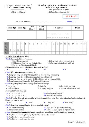 Đề kiểm tra học kỳ I môn Sinh học Lớp 11 - Mã đề 209 - Năm học 2019-2020 - Trường THPT Lương Văn Cù