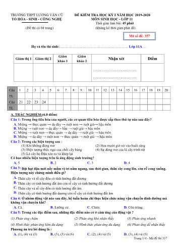 Đề kiểm tra học kỳ I môn Sinh học Lớp 11 - Mã đề 357 - Năm học 2019-2020 - Trường THPT Lương Văn Cù