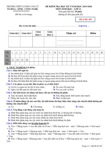Đề kiểm tra học kỳ I môn Sinh học Lớp 11 - Mã đề 485 - Năm học 2019-2020 - Trường THPT Lương Văn Cù