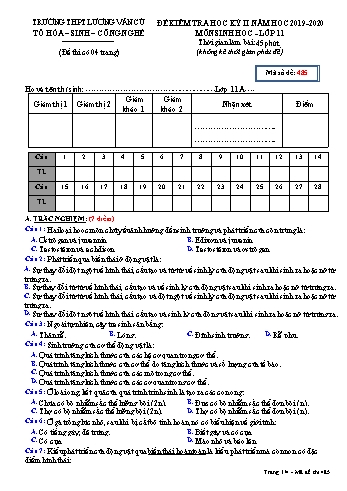 Đề kiểm tra học kỳ II môn Sinh học Lớp 11 - Mã đề 485 - Năm học 2019-2020 - Trường THPT Lương Văn Cù