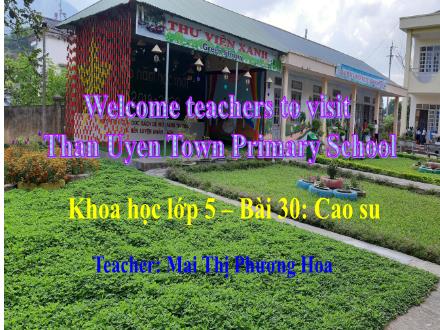 Bài giảng Khoa học Lớp 5 - Bài 30: Cao su - Mai Thị Phương Hoa