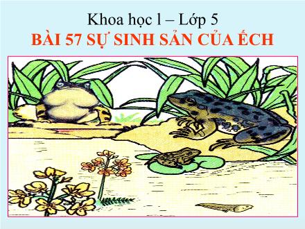 Bài giảng Khoa học Lớp 5 - Bài 57: Sự sinh sản của ếch