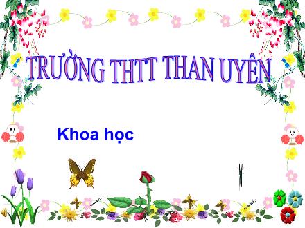 Bài giảng Khoa Học Lớp 5 - Bài 61: Tài nguyên thiên nhiên