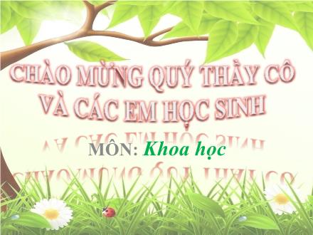 Bài giảng Khoa Học Lớp 5 - Chủ đề: Môi trường và tài nguyên thiên nhiên. Bài 60: Môi trường