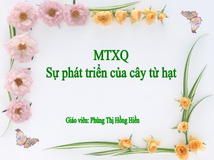 Bài giảng MTXQ - Sự phát triển của cây từ hạt - Phùng Thị Hồng Hiền