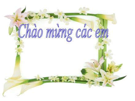 Bài giảng Tiếng Việt Lớp 3 - Bài 6: Bận