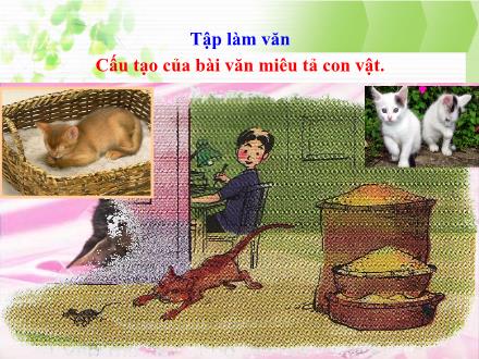 Bài giảng Tiếng Việt Lớp 4 - Tập làm văn: Cấu tạo của bài văn miêu tả con vật