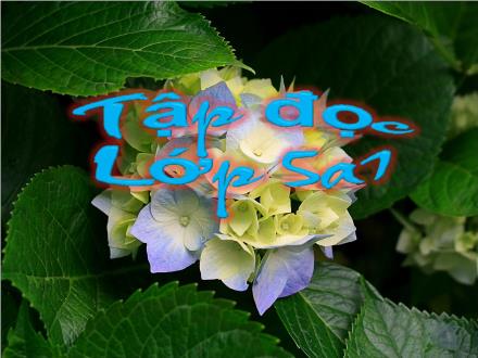 Bài giảng Tiếng Việt Lớp 5 - Tập đọc: Tà áo dài Việt Nam