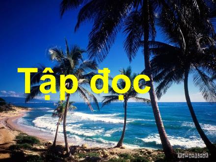 Bài giảng Tiếng Việt Lớp 5 - Tập đọc: Thuần phục sư tử