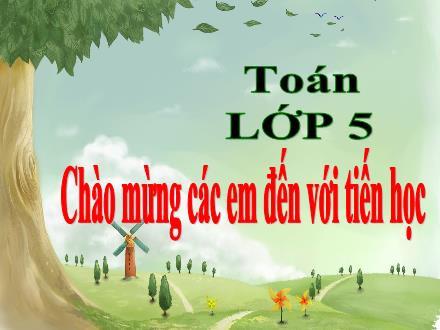 Bài giảng Toán Lớp 5 - Bài: Luyện tập về tính diện tích (Tiếp theo)