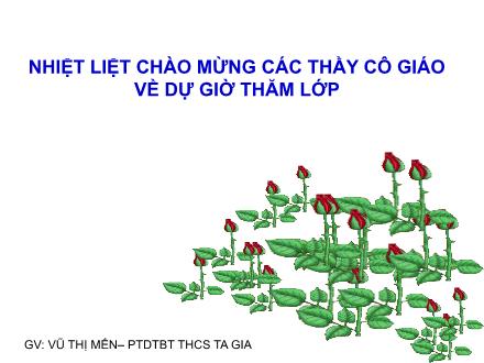 Bài giảng Toán Lớp 9 - Tiết 28: Ôn tập chương II - Vũ Thị Mến