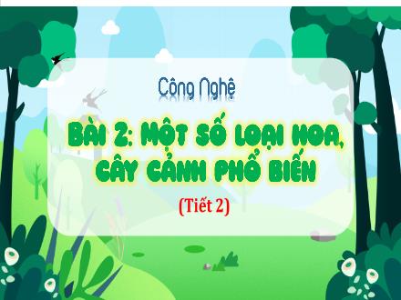 Bài giảng Công nghệ Lớp 4 (Kết nối tri thức) - Bài 2: Một số loại hoa, cây cảnh phổ biến (Tiết 2) - Năm học 2024-2025 - Đặng Hoài Thương