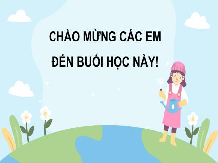 Bài giảng Đạo đức Lớp 5 (Kết nối tri thức) - Chủ đề 5 - Bài 5: Bảo vệ môi trường sống - Năm học 2024-2025 - Hoàng Thị Trang