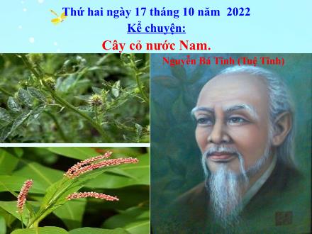 Bài giảng Kể chuyện Lớp 5 - Bài: Cây cỏ nước Nam (Nguyễn Bá Tĩnh - Tuệ Tĩnh) - Năm học 2022-2023 - Hoàng Thị Trang