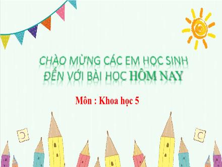 Bài giảng Khoa học Lớp 5 - Bài 2+3: Nam hay nữ (Tiết 2) - Năm học 2023-2024 - Hoàng Thị Trang
