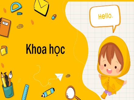 Bài giảng Khoa học Lớp 5 - Bài 31: Chất dẻo - Năm học 2023-2024