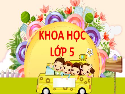 Bài giảng Khoa học Lớp 5 - Bài 4: Cơ thể chúng ta được hình thành như thế nào - Năm học 2023-2024 - Hoàng Thị Trang