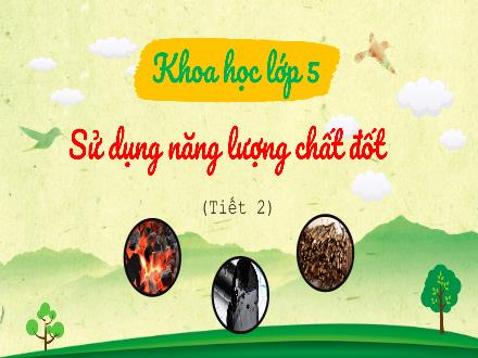 Bài giảng Khoa học Lớp 5 - Bài: Sử dụng năng lượng chất đốt (Tiết 2) - Năm học 2023-2024 - Hoàng Thị Trang