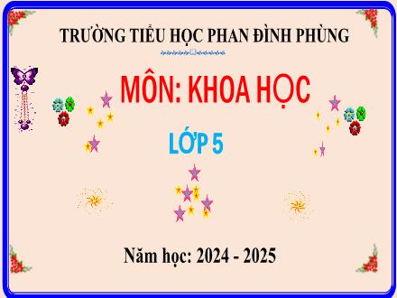 Bài giảng Khoa học Lớp 5 (Kết nối tri thức) - Bài 13: Sinh sản của thực vật có hoa (Tiết 2) - Năm học 2024-2025 - Trường Tiểu học Phan Đình Phùng