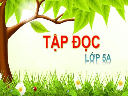 Bài giảng Tập đọc Lớp 5 - Tuần 13, Bài: Người gác rừng tí hon (Theo Nguyễn Thị Cẩm Châu) - Năm học 2023-2024 - Hoàng Thị Trang
