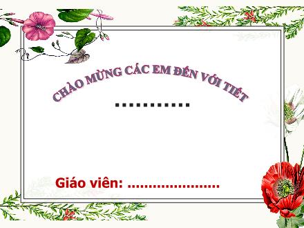 Bài giảng Tiếng Việt Lớp 1 (Kết nối tri thức) - Bài 13: U u Ư ư - Năm học 2023-2024 - Phan Thị Minh Thư