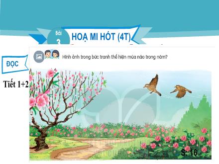 Bài giảng Tiếng Việt Lớp 2 (Kết nối tri thức) - Bài 3: Họa mi hót (Tiết 1+2) - Đặng Thị Cẩm Thành