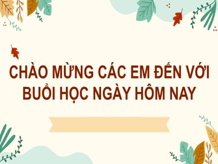Bài giảng Tiếng Việt Lớp 2 (Kết nối tri thức với cuộc sống) - Bài 3: Hoạ mi hót (Tiết 1+2: Đọc)