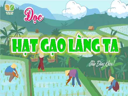 Bài giảng Tiếng Việt Lớp 5 (Kết nối tri thức) - Đọc: Hạt gạo làng ta - Năm học 2024-2025