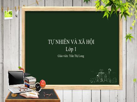 Bài giảng Tự nhiên và Xã hội Lớp 1 (Kết nối tri thức) - Bài 13: An toàn trên đường (Tiết 2) - Trần Thị Long