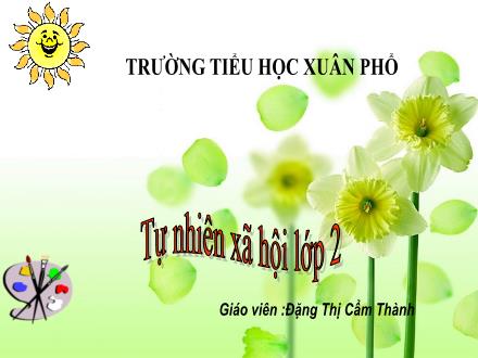 Bài giảng Tự nhiên và Xã hội Lớp 2 (Chân trời sáng tạo) - Bài 5: Ôn tập chủ đề gia đình - Đặng Thị Cẩm Thành