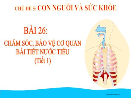 Bài giảng Tự nhiên và Xã hội Lớp 2 (Kết nối tri thức) - Chủ đề 5: Con người và sức khỏe - Bài 26: Chăm sóc, bảo vệ cơ quan bài tiết nước tiểu (Tiết 1)