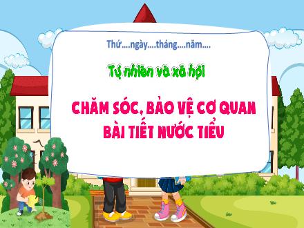 Bài giảng Tự nhiên và Xã hội Lớp 2 (Kết nối tri thức với cuộc sống) - Bài 26: Chăm sóc, bảo vệ cơ quan bài tiết nước tiểu