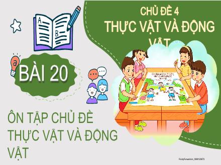 Bài giảng Tự nhiên và Xã hội Lớp 2 (Kết nối tri thức với cuộc sống) - Chủ đề 4: Thực vật và động vật - Bài 20: Ôn tập chủ đề thực vật và động vật