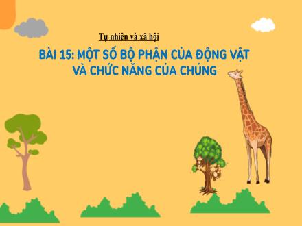 Bài giảng Tự nhiên và Xã hội Lớp 3 (Kết nối tri thức) - Bài 15: Một số bộ phận của động vật và chức năng của chúng (Tiết 1)- Đặng Thị Cẩm Thành